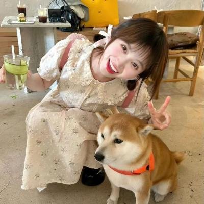 风尘舞蝶